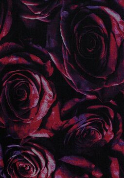 Olivia Rose Garden -jakku