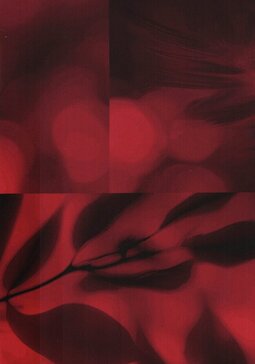 Marion Umbra -takki thermovanulla